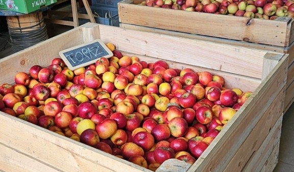 Ferme Schmitt Nouveau Partenaire édition 2025/26