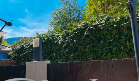 A la Truite Lautenbach