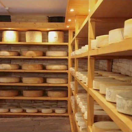 Le Goût du Terroir